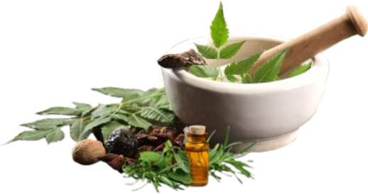 Medicinal Plants