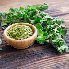 Oregano herb