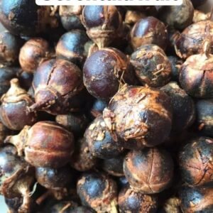 Gorontula fruit, a traditional African fruit snack