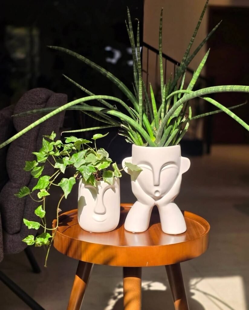 Two leafy indoor plants in sculptural white face-shaped planters on a wooden table.