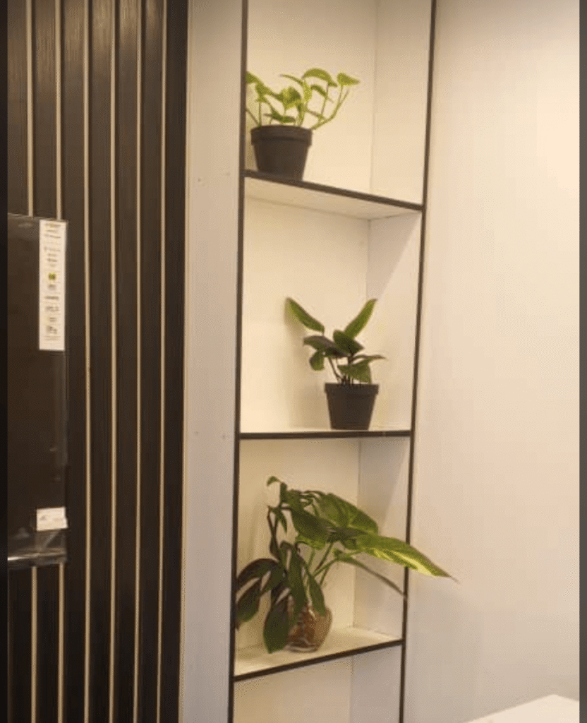 Potted plants arranged on illuminated white shelves in a modern interior.