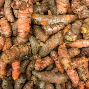 Dried turmeric root pieces for cooking and spice blends