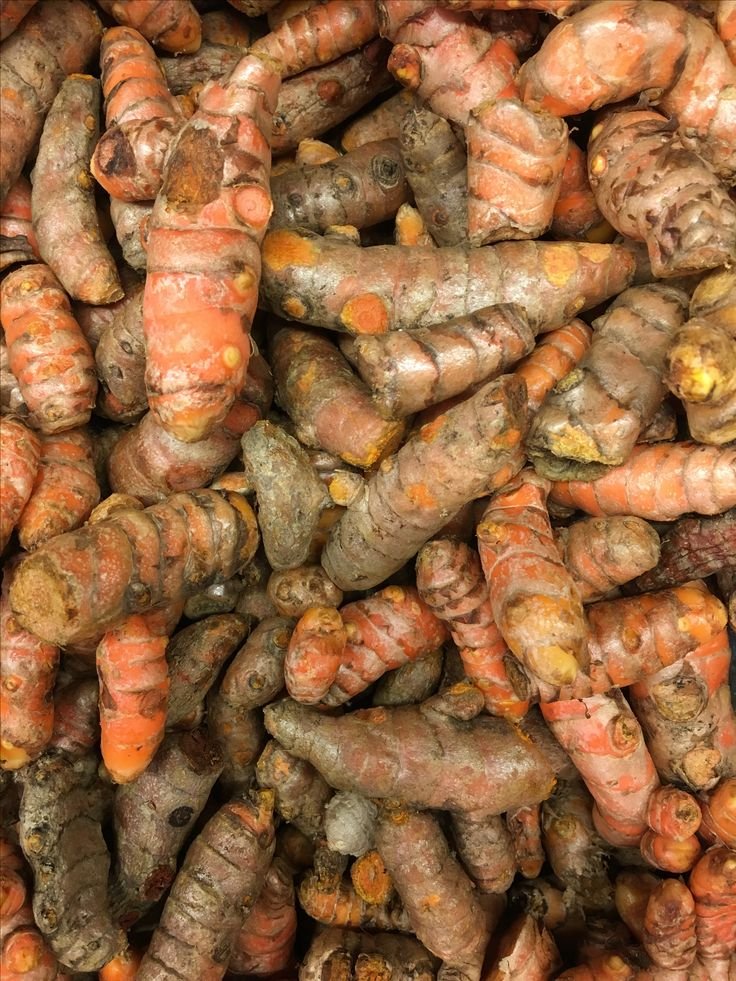 Dried Turmeric Root – Golden Spice